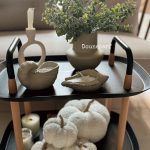 اکالیپتوس برفی 6-396