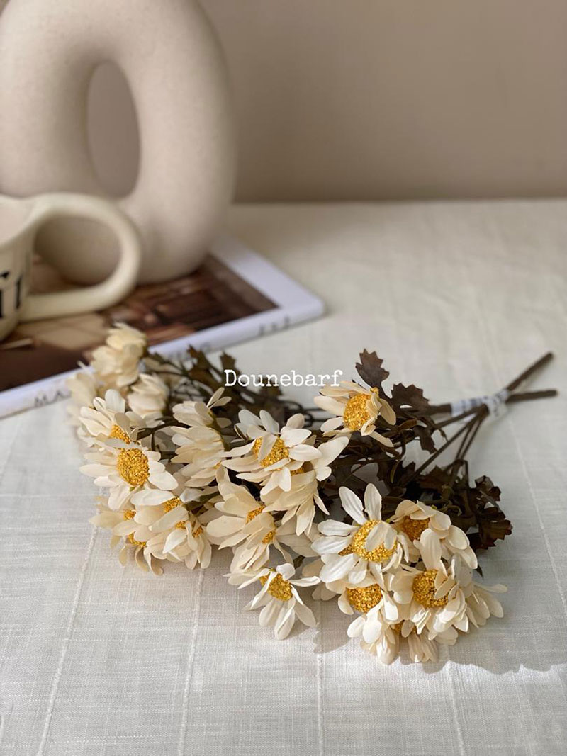 بابونه درشت