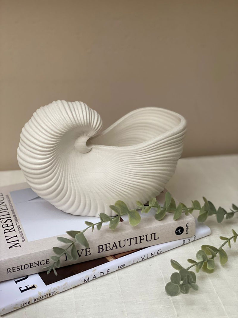 حلزون بزرگ DK