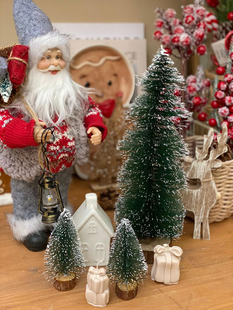 کاج مینیاتوری