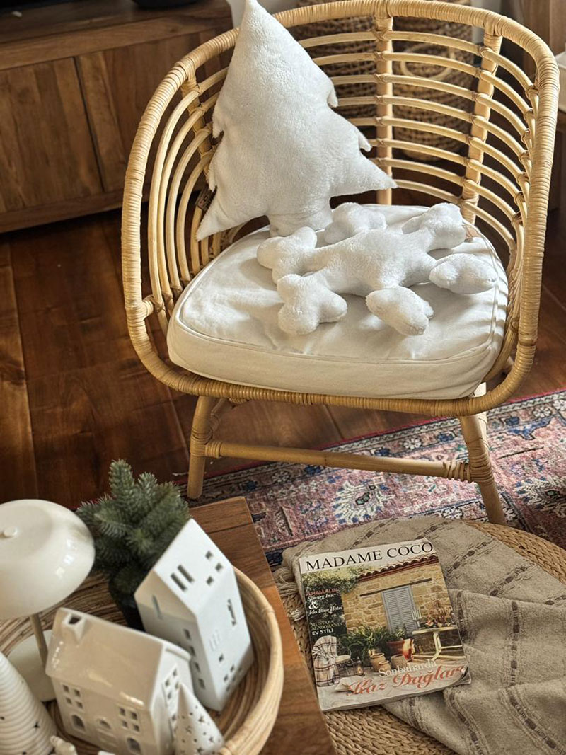 کوسن سفید تدی