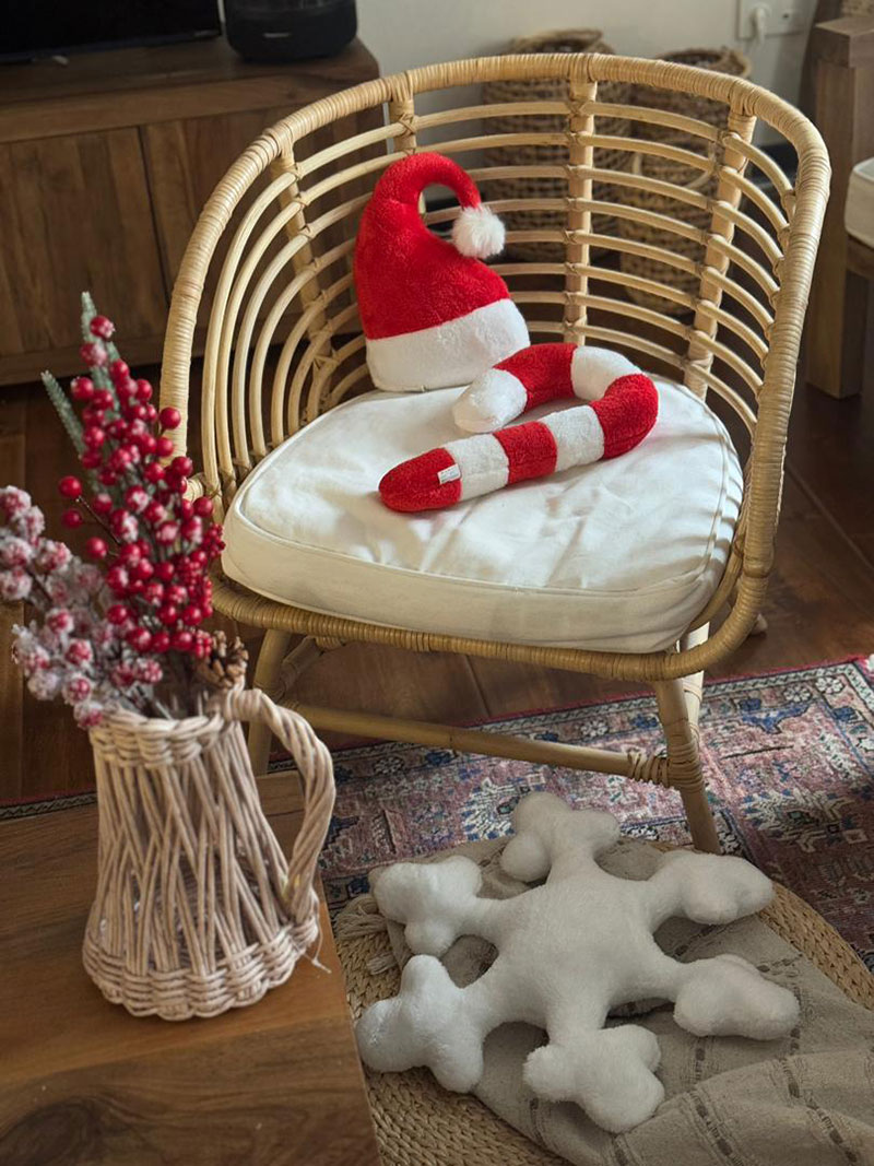 کوسن تدی سفید قرمز