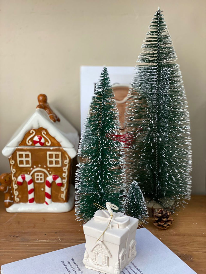 کاج مینیاتوری