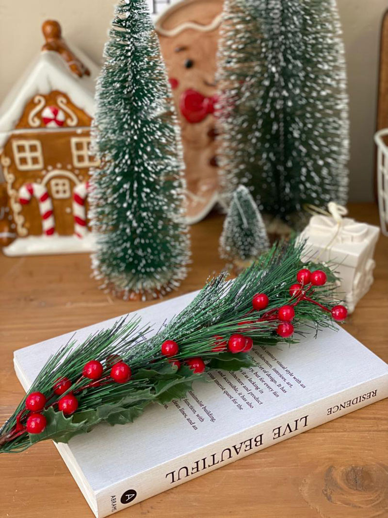 شاخه بری( 5223)